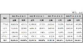 冠县贷款清欠服务